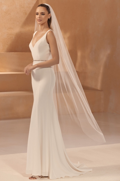 Loor 481,sädelevustega